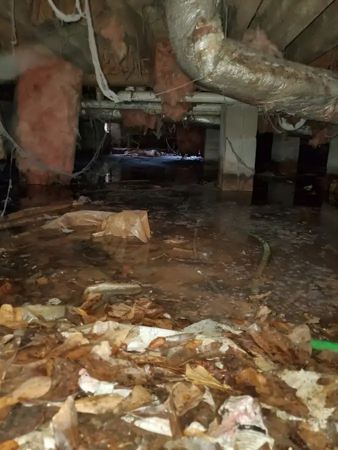 Crawl space flood assessment for Leak Detection & Repair in Plano