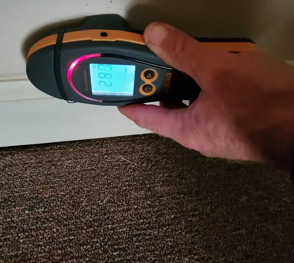 Moisture detection at baseboard during Burst Pipe Cleanup in Plano